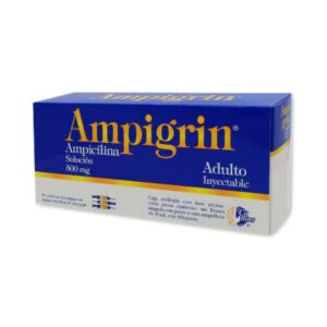 Ampigrin adulto